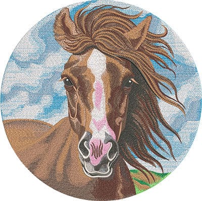 Round rug with a horse design on a blue and green background