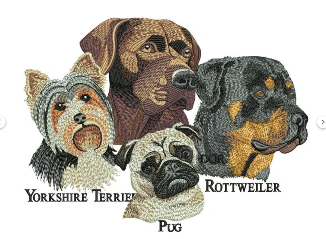 Illustrations of four different dog breeds with their names below on a white background.